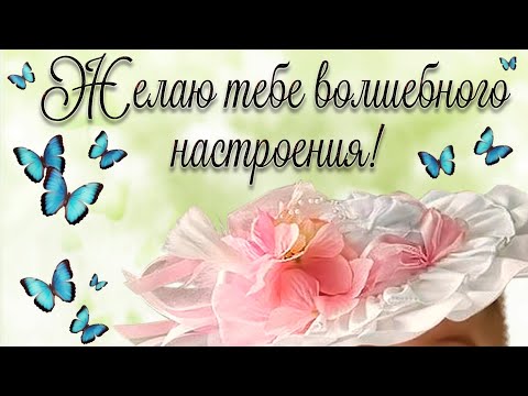 Желаю Отличного Настроения! Пусть Оно Всегда Будет Хорошим! Красивая Музыкальная Открытка Для Тебя❤