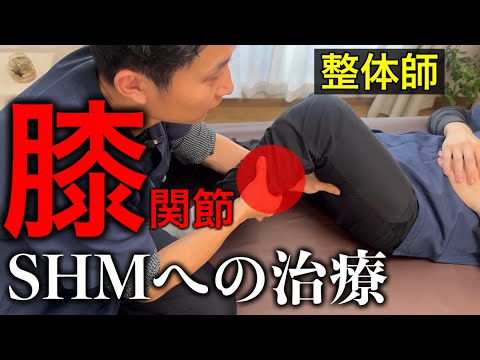 治療家が膝治療で絶対にやるべきSHMアプローチ