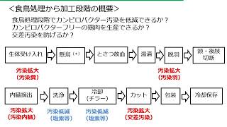 精講「カンピロバクター2」