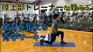 【爆汗💦】青学陸上部トレーナーが教える全身を鍛えるサーキット~初級編~