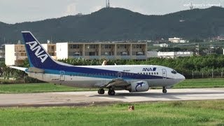 石垣空港名物 ロケットスタート！ ANA WINGS Boeing 737-500 JA8419 離陸 2011.10.21