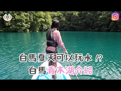 白馬夏天可以玩水 !?  白馬青木湖介紹 【2022-2023 日本 VLOG】