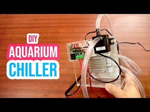 ❄️ Cool Down Your Aquarium with a DIY Chiller: Step-by-Step Tutorial 🧊