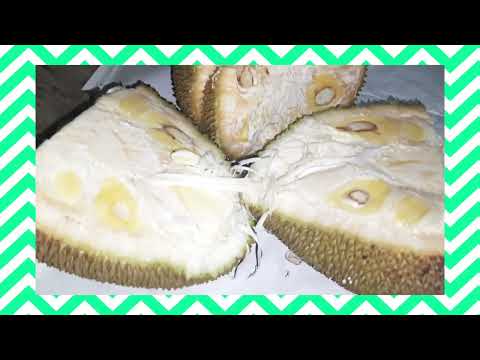 #panasakaaya cut cheyadam ela Vlogs# how to cut jackfruit#dsrsmiley#ytshorts#cutting of jackfruit#