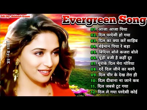 Hindi Gana🌹Sadabahar Song 💖हिंदी गाने 💔Purane Gane Mp3 💕Filmi Gaane अल्का याग्निक कुमार सानू गीत