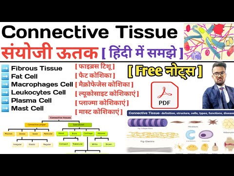 Connective Tissue in hindi | Types of Connective Tissue | Function of Connective Tissue | Notes