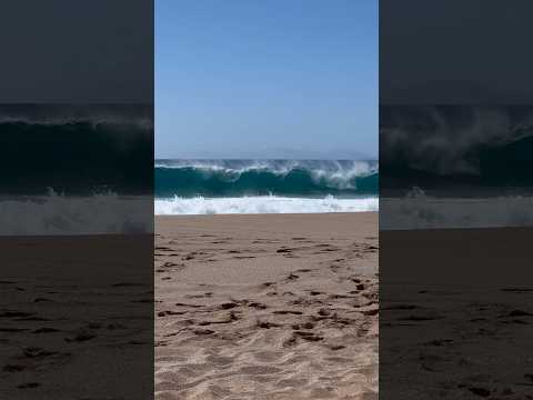 Duckdiving #surfing #duckdive #shorebreak #hawaii #northshore #surf