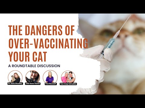 How To Avoid Over-Vaccinating Your Cats | Roundtable | Two Crazy Cat Ladies