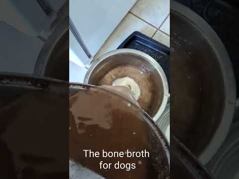 How the dog health benefits from bone broth @GabieCocoMarmora