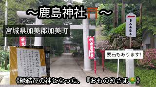 『おものめさま👘』※遠方からも参拝に訪れる鹿島神社⛩️【要石】もある…宮城県加美郡に鎮座する神社‼️　#神社 　#おものめさま　#要石 　#宮城県　#見守りヒツジ