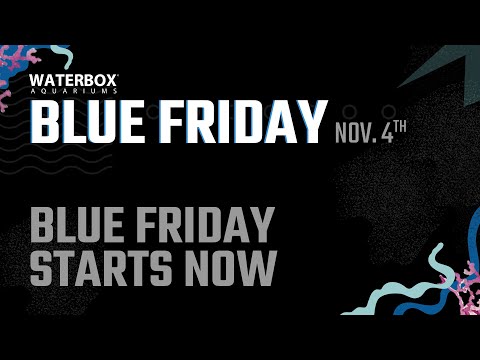 Welcome to Blue Friday! Giveaways, Special Guests, and Once A Year Savings!