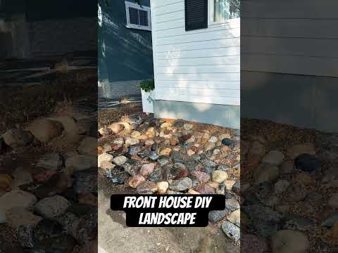 Front house  DIY landscape #diy #landscape #excercise #shorts