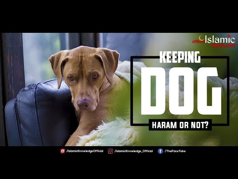 Keeping dogs In The House Haram or Halal! | @IslamicKnowledgeOfficial