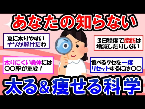 【ガルちゃん 有益トピ】これが体重が増える原因です！痩せる仕組みと太る仕組みとは？リバウンドしてしまう原因についても考える｜お腹痩せダイエット 下腹部の脂肪燃焼【ゆっくり解説】