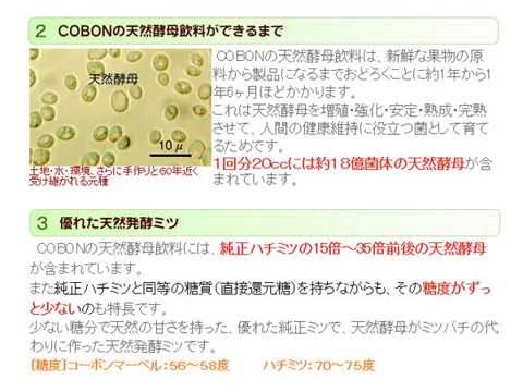 善玉菌を増やして健全な腸内環境で健康に♪ コーボンマーベル【自然館】