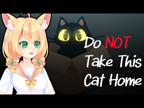 Do NOT Take This Cat Home: But Maybe I Will...