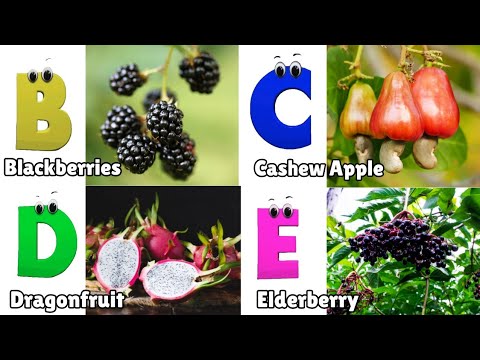 Fruit ABC Song | ABC Fruit Phonics Song | Alphabet Fruits Song for Children | Phonics for Kids