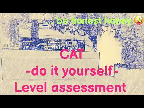 CAT Level Assessment