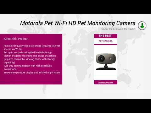 Motorola Pet Scout66 Wi Fi HD Pet Monitoring Camera