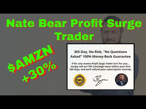 Nate Bear Profit Surge Trader (AMZN +30% Overnight!)