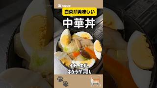 【白菜】中華丼🥕詳しくは動画で#asmr #中華丼 #おうちごはん #料理 #節約 #時短レシピ #飯テロ #献立 #肉 #白菜 #簡単 #美味しい #レシピ #おかず  #猫 #夕食 #中華 #卵