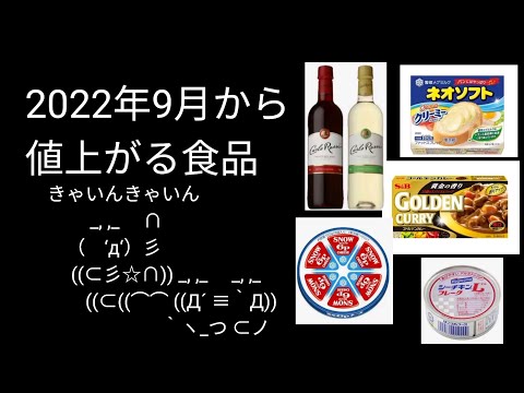 9月に値上げ食品をまとめてみた｜食糧危機の前に家計が危機【バブニュース】