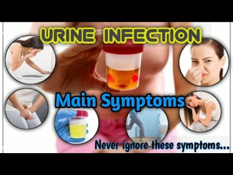 Urinary Tract Infection(UTI) : signs and symptoms of Urinary tract infection | STAR LABORATORY