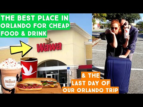 Our Last Day In Orlando - One Last Wawa's Sandwich & A Review Of Our Orlando Trip