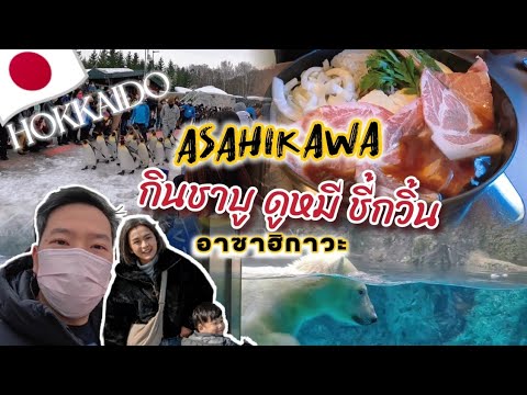 Hokkaido🇯🇵 Asahikawa, eat shabu, see bears and penguins at Asahikawa.