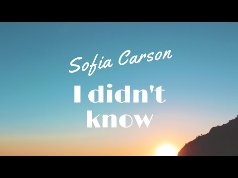 Sofi Carson - I didn't know - Lyrics ( From Purple Hearts)