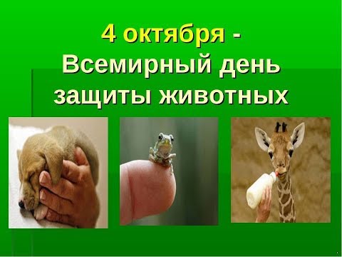 Всемирный день животных. 4 октября