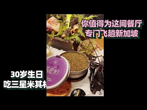 【新加坡美食 | ZEN】一頓4.5小時,你值得為這間餐廳專門飛趟 新加坡