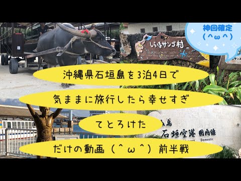 『沖縄県石垣島を3泊4日で気ままに旅行したら幸せすぎてとろけただけの動画（＾ω＾）前半戦』