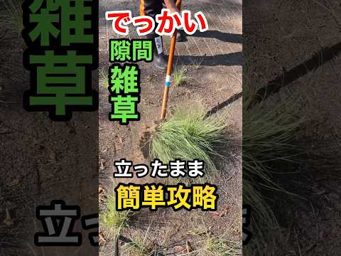 【巨大版】手強い雑草のラクな取り方