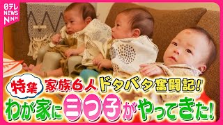 【三つ子】苦労は3倍…でも喜びも3倍！子育てドタバタ奮闘記『every.特集』