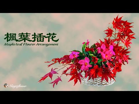 枫叶插花｜flower arrangement