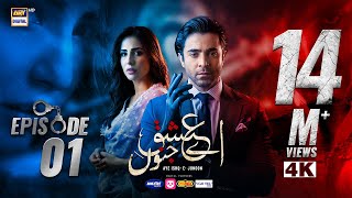 Aye Ishq e Junoon Episode 1 | Ushna Shah | Sheheryar Munawar | 11 Nov 2024 (Eng Sub) | ARY Digital