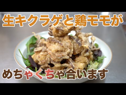 【キノコクッキング】生キクラゲと鶏もも肉で唐揚げをしたらめちゃくちゃ美味しいです。株式会社ハラキンさんのキクラゲで簡単レシピ　きのこマイスター