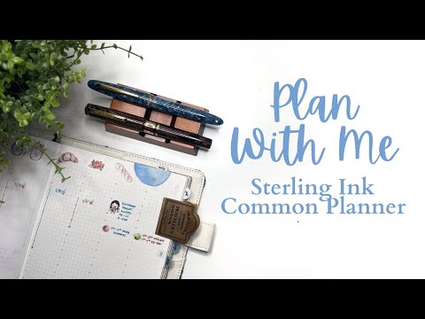 PLAN WITH ME // STERLING INK Common Planner // Aug 12-18, 2024