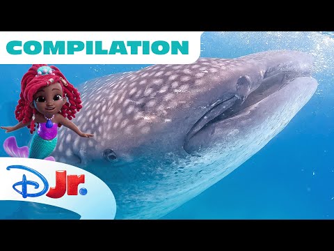 Disney Animals: Under the Sea with Ariel🧜🏾‍♀️ | Compilation | Sharks Turtles & MORE | @disneyjr