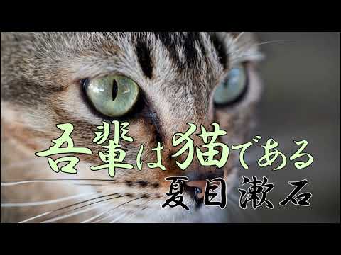 吾輩は猫である　夏目漱石　朗読