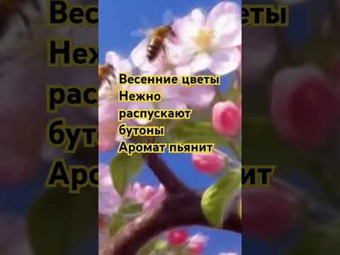 Наталья Никольская Авторские сказки #подпишись #новыевидео #авторские #аудиосказки