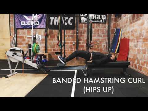 Banded Hamstring Curl (On Rower)