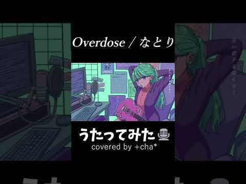 〖 歌ってみた 〗Overdose // +cha*(cover) #Shorts