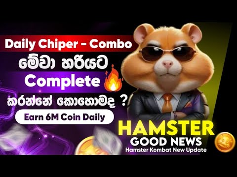 How to complete cipher and combo codes in Hamster Kombat | Hamster Kombat Sinhala | Hamster News