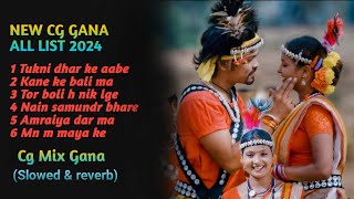 Jhum lebo bastariya gana || Cg song new 2024 all || Tukni dhar ke aabe song ||