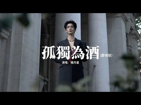 楊月星 - 孤獨為酒 (靈魂版)『孤獨的酒來作伴，等不到你的晚安，你的愛有幾分像從前，愛到了曲終人散，你已不在我身邊，墜入了無盡的黑暗。』【動態歌詞MV】