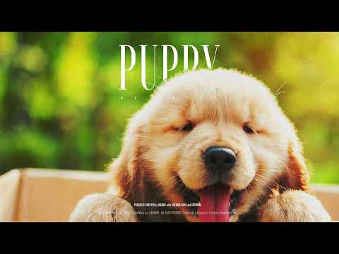 #191 Puppy (Official)