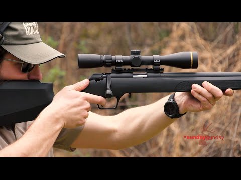 #SundayGunday: Springfield Armory Model 2020 Rimfire Target