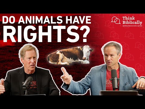 Do Animals Have Rights? [Think Biblically Podcast]